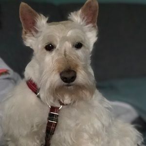 Meet your Posher, Cheryl